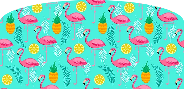 Fond FLAMINGO ! — fond photo